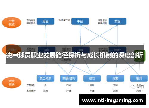 德甲球员职业发展路径探析与成长机制的深度剖析