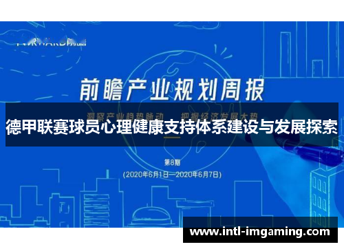 德甲联赛球员心理健康支持体系建设与发展探索