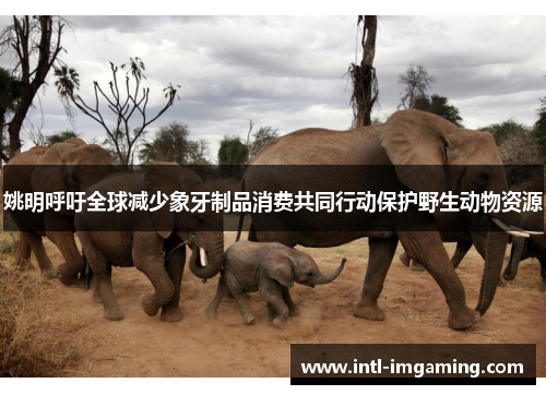 姚明呼吁全球减少象牙制品消费共同行动保护野生动物资源
