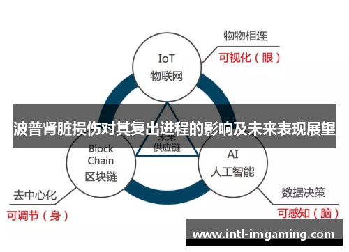 波普肾脏损伤对其复出进程的影响及未来表现展望