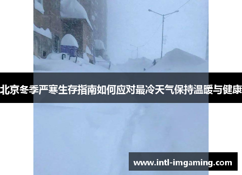 北京冬季严寒生存指南如何应对最冷天气保持温暖与健康